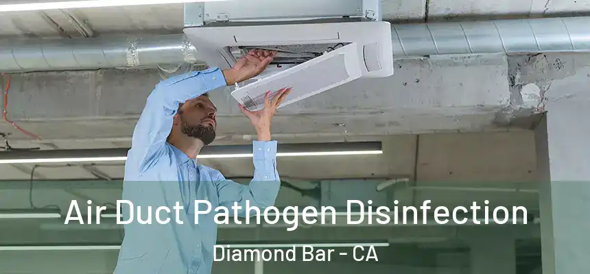 Air Duct Pathogen Disinfection Diamond Bar - CA