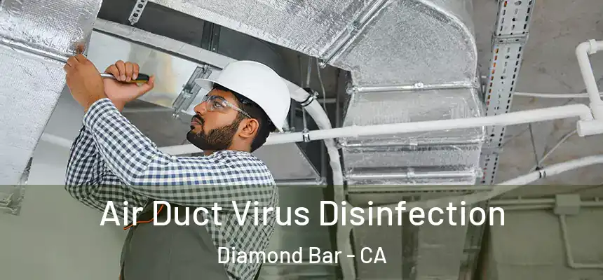  Air Duct Virus Disinfection Diamond Bar - CA
