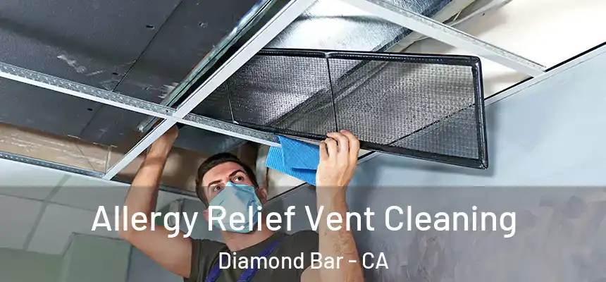  Allergy Relief Vent Cleaning Diamond Bar - CA