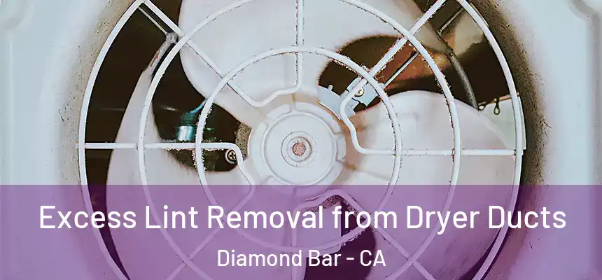 Excess Lint Removal from Dryer Ducts Diamond Bar - CA