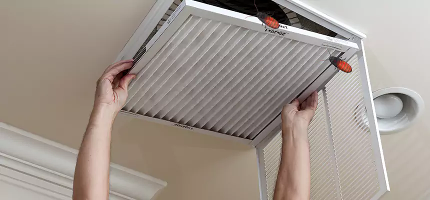 Preventive Cockroach-Proofing for Ducts in Diamond Bar