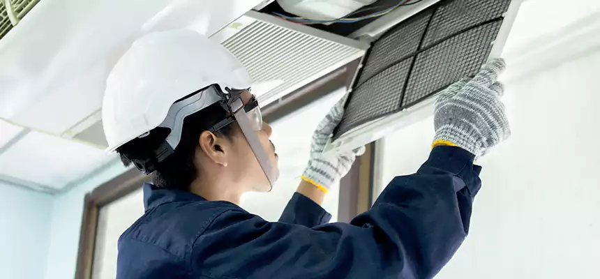 Our Mold & Mildew Removal from Air Ducts Services in Diamond Bar, CA