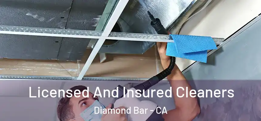  Licensed And Insured Cleaners Diamond Bar - CA