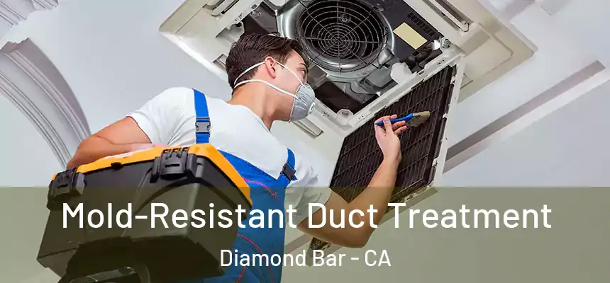 Mold-Resistant Duct Treatment Diamond Bar - CA