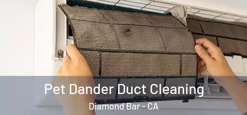  Pet Dander Duct Cleaning Diamond Bar - CA