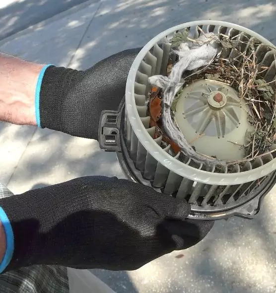 About Air Duct Mice Removal in Diamond Bar, CA