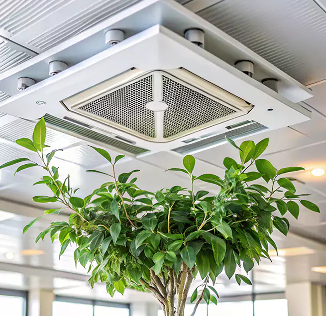 Why Homeowners & Businesses Trust Us in Diamond Bar, CA?