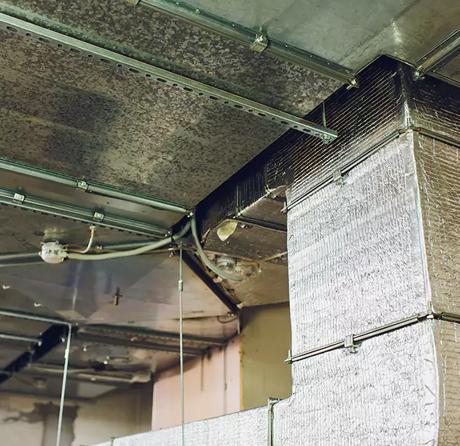 Why Homeowners & Businesses Trust Us in Diamond Bar, CA?